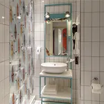 فندق Ibis Styles Centrum 3*